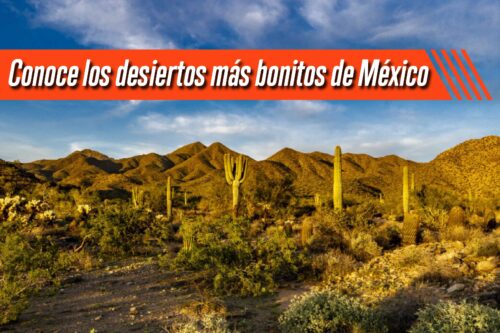 Conoce los desiertos más bonitos de México